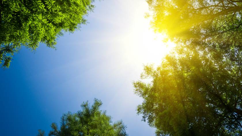 curiosidades sobre la energía solar