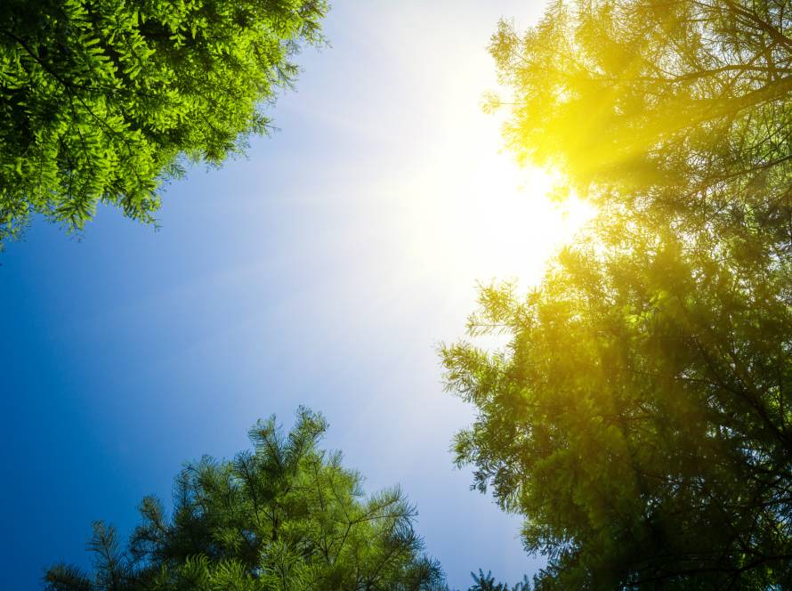 curiosidades sobre la energía solar